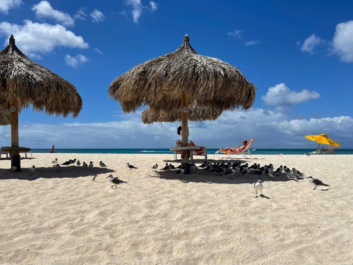Luxury Ocean View Condo @ Aruba'S Palm Beach Exterior foto